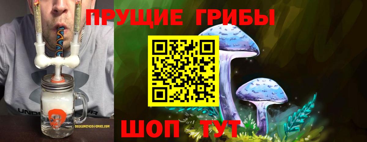 Галлюциногенные грибы Psilocybe  Галлюциногенные грибы мицелий  Вход с VPN  Грязи 
